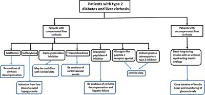 Selection and Warning of Evidence-Based Antidiabetic Medications for Patients With Chronic Liver Disease